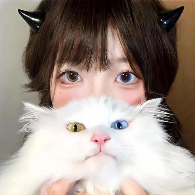 神圣之夜:恶魔猎人
